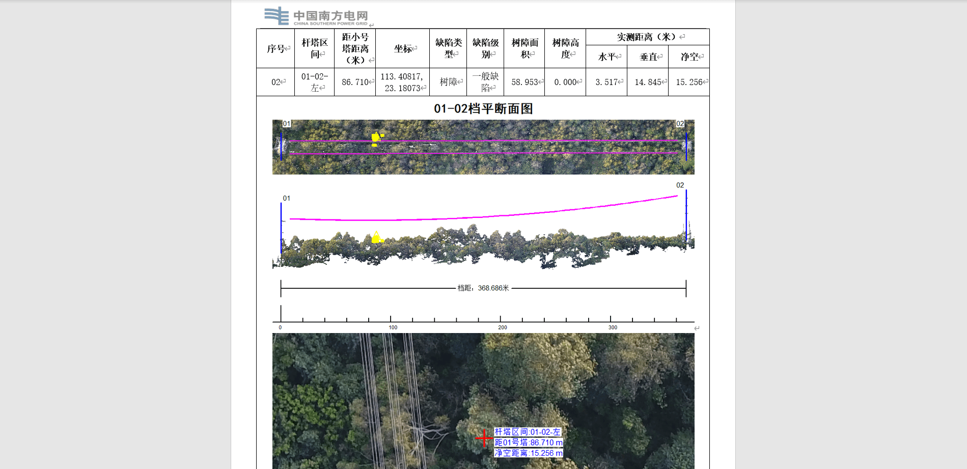 报告生成