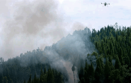 Forest fire fighting